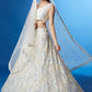 Ethereal Ivory Soft Net Sequin Embroidered Lehenga